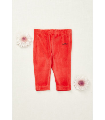 PANTALON BB HAWKINS