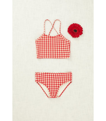 BIKINI PICNIC