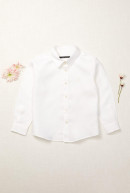 CAMISA HOJITAS