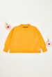 SWEATER C/R M/L JASON